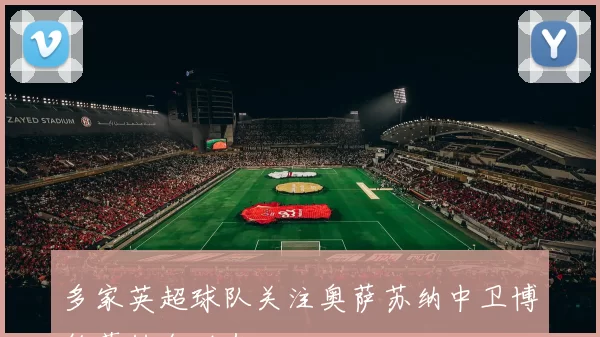 多家英超球队关注奥萨苏纳中卫博约莫转会动态