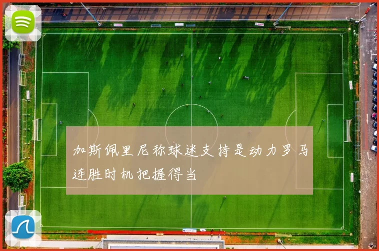 加斯佩里尼称球迷支持是动力罗马连胜时机把握得当